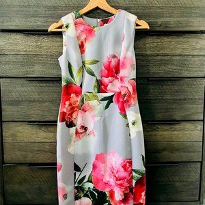 Calvin Klein Women's Sleeveless  Sheath Dress size 4P